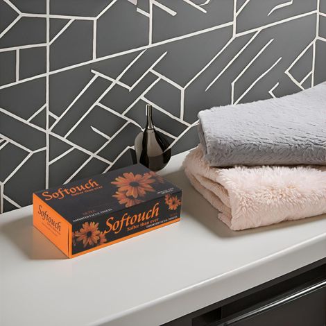 Softouch Face Tissue 100 Pulls 2 Ply 200 sheets