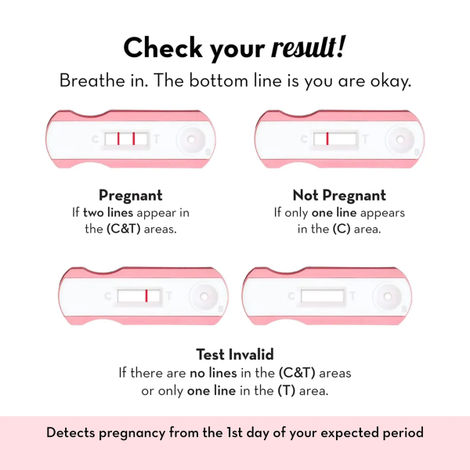 Plush Preg-Oh! Basic Pregnancy Test Kit