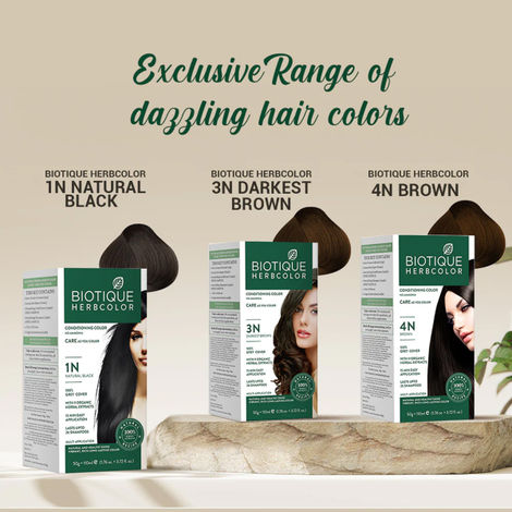 Biotique Herbcolor 1N Natural Black