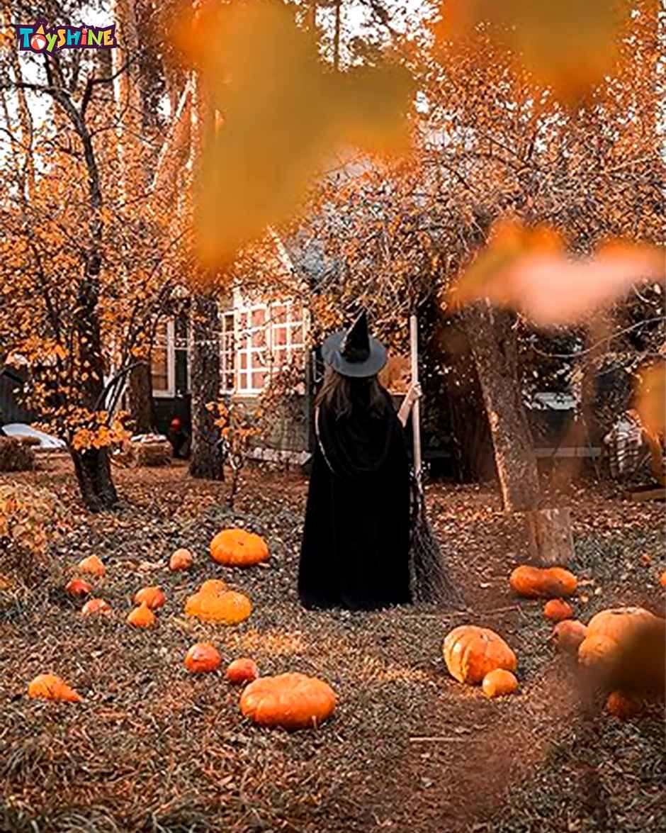 Toyshine Fancy Dresses Witch Hat For Kids, Adults | Witch Hat For Halloween Party Fancy Dress