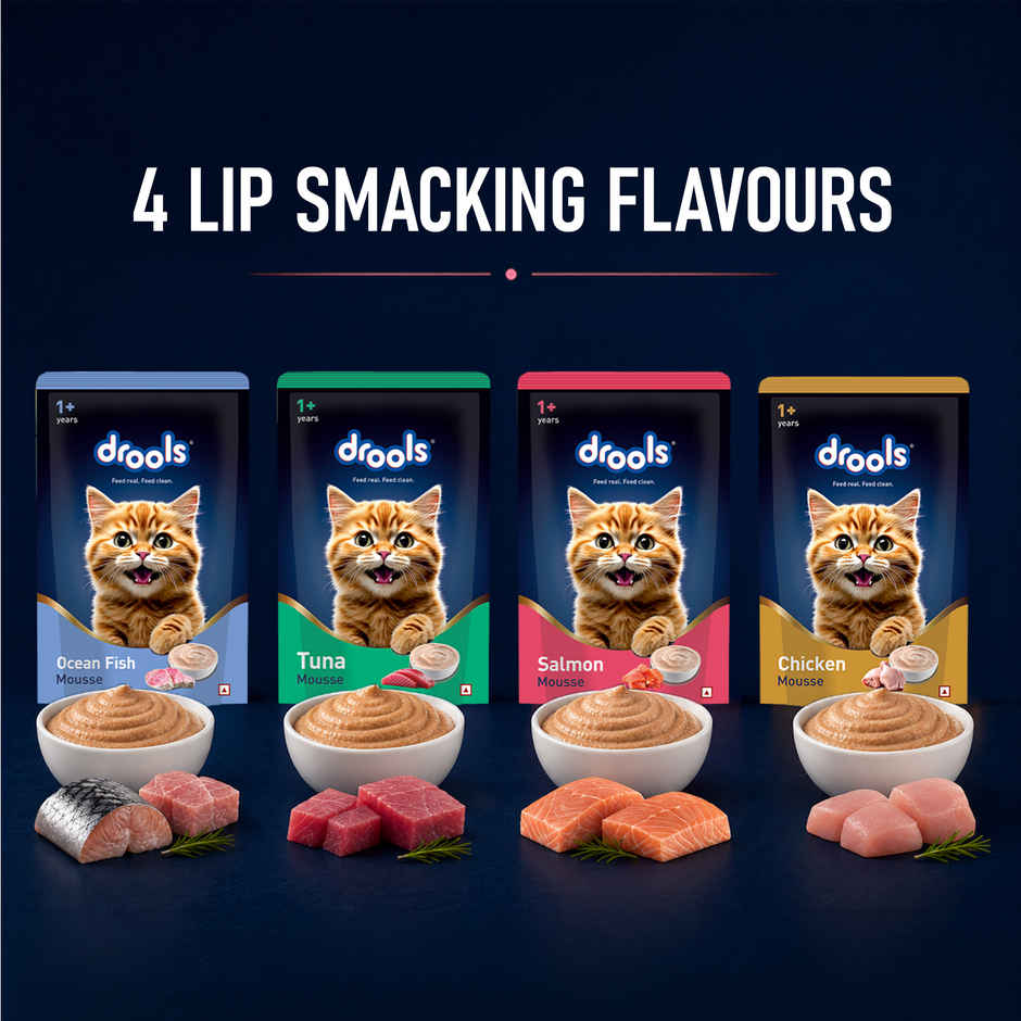 Drools Ocean Fish Mousse Adult Cat Wet Food 80gm