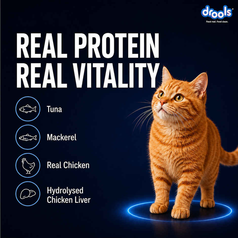 Drools Ocean Fish Mousse Adult Cat Wet Food, 80g (4+1 Free Pack)