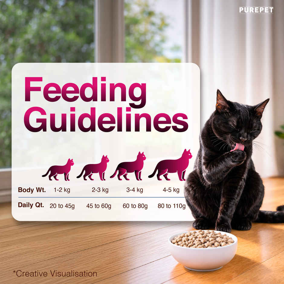 Purepet Tuna & Salmon Adult Dry Cat Food