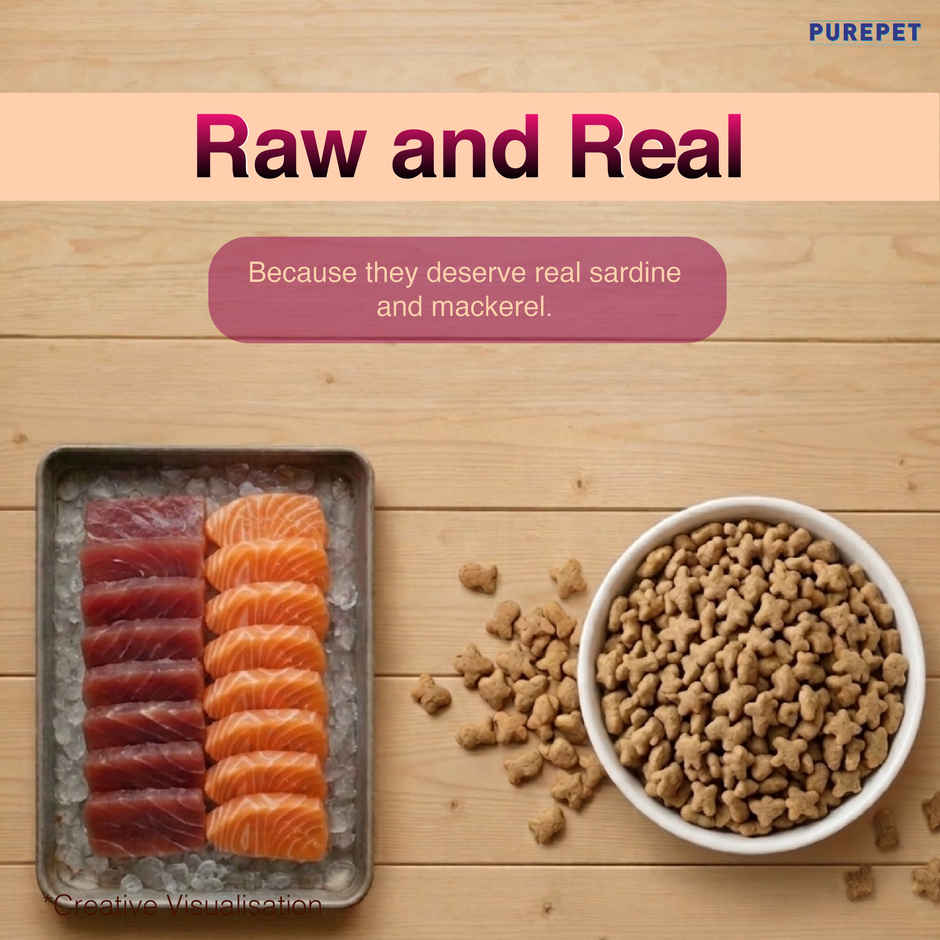 Purepet Tuna & Salmon Adult Dry Cat Food