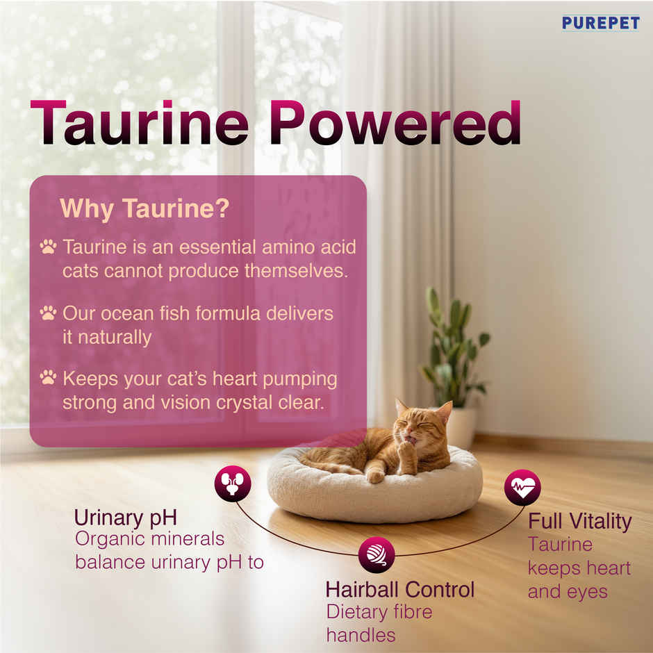 Purepet Tuna & Salmon Adult Dry Cat Food