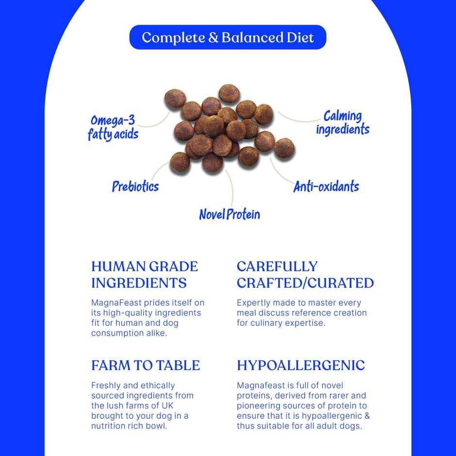 Magnafeast Adult Dog FOOD