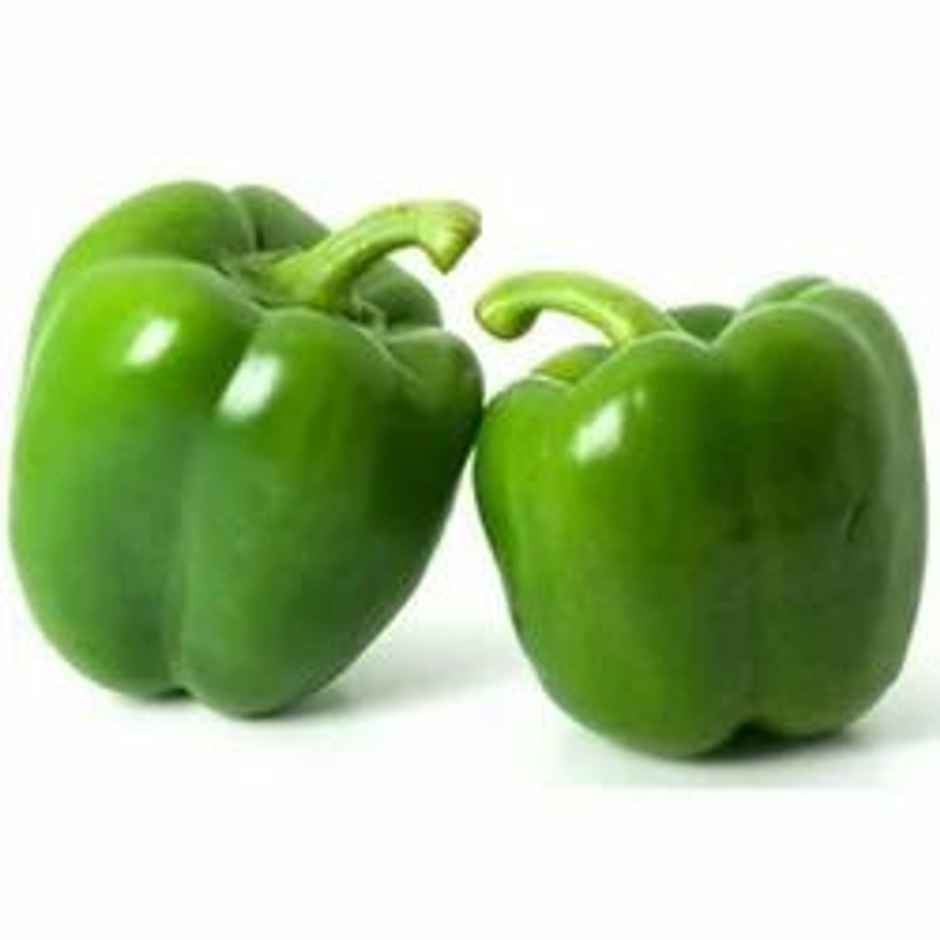Capsicum Green - Greenhouse Grown