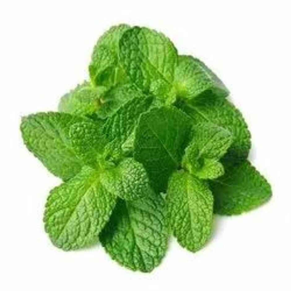 Mint Leaves (Pudina) Loose