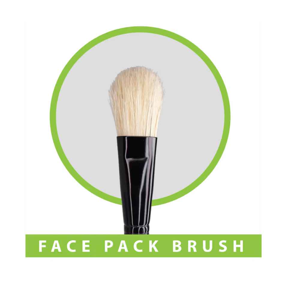 Midazzle Premium Wooden Face Pack Makeup Brush