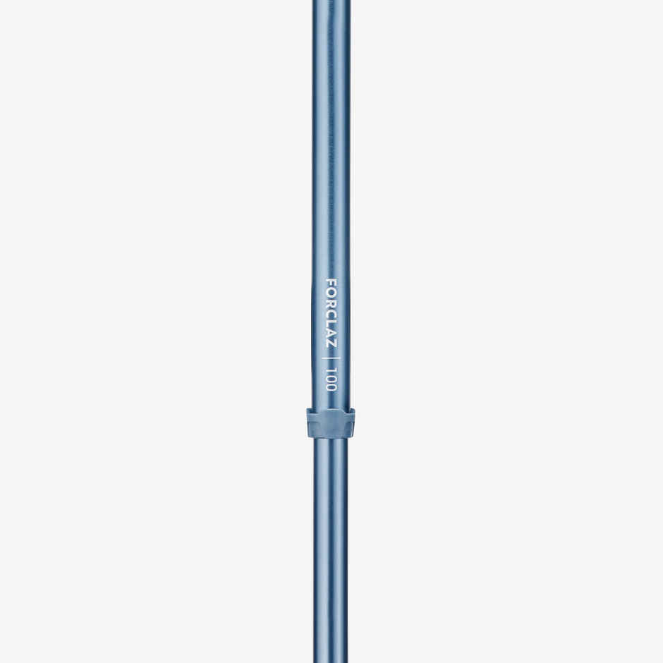 Decathlon | Forclaz Hiking Pole - Blue