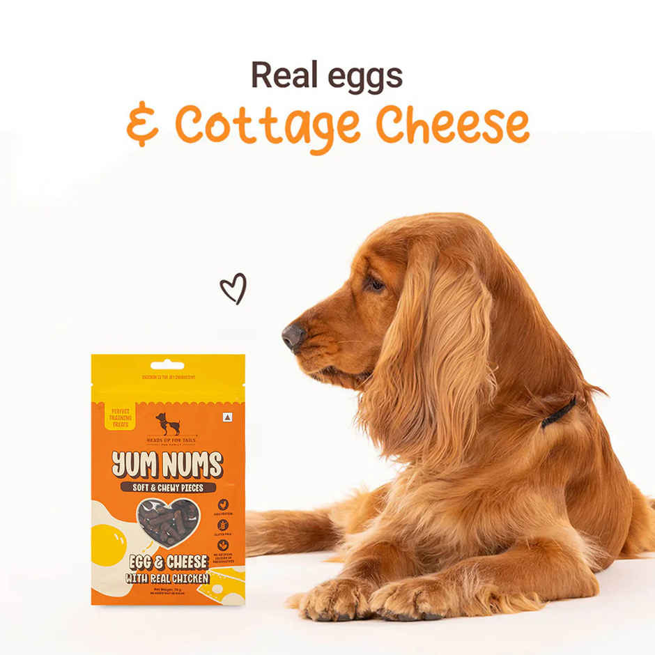 HUFT Yum Nums Egg & Cheese Soft Sticks Treat For Dogs