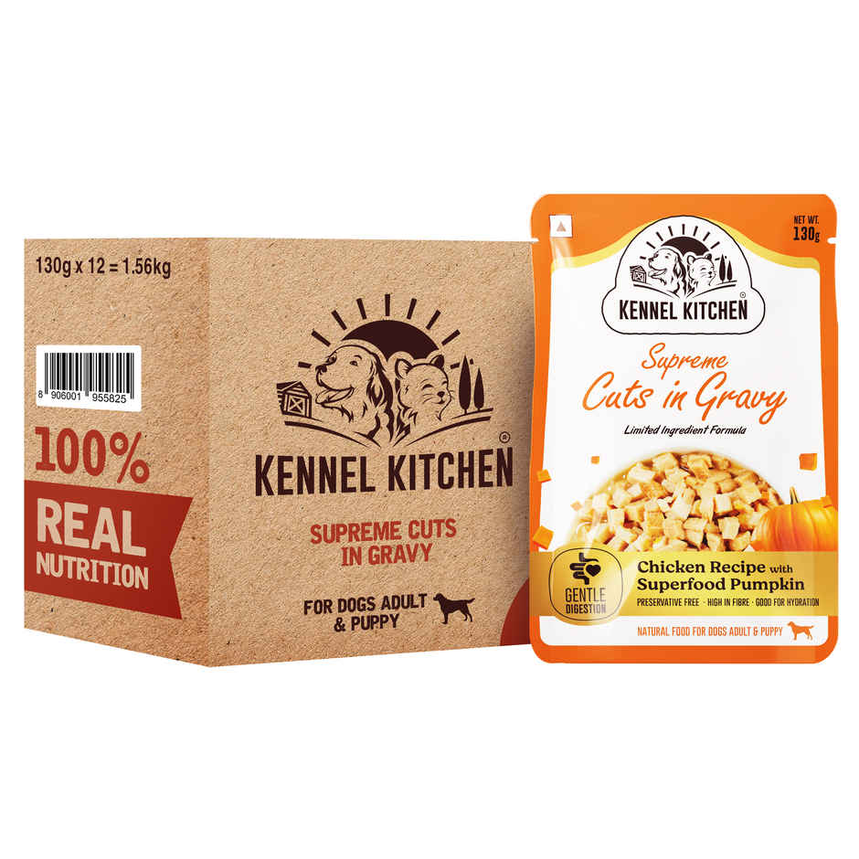 Kennel Kitchen Supreme Cuts in Gravy, Chicken Recipe with Pumpkin | Wet Dog Food