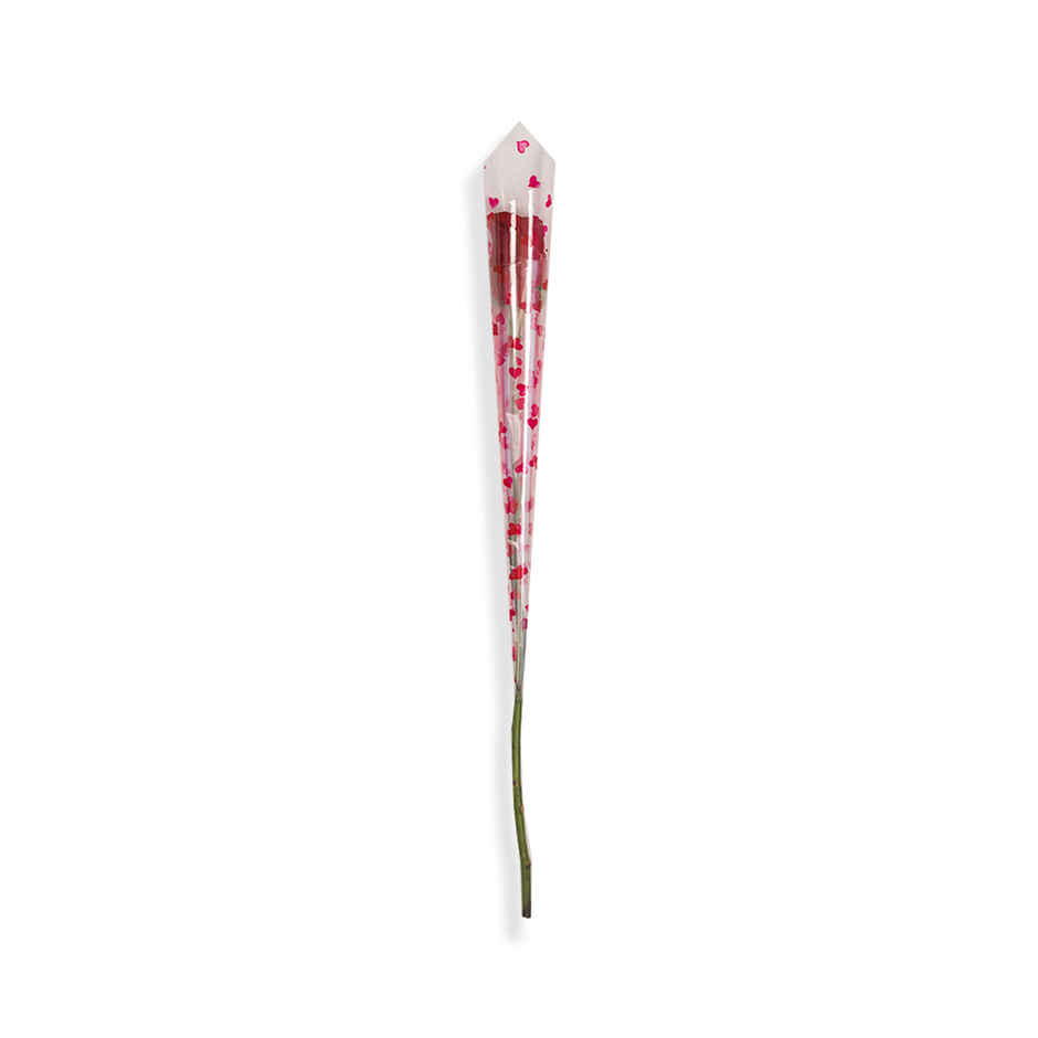 Single Rose Combo