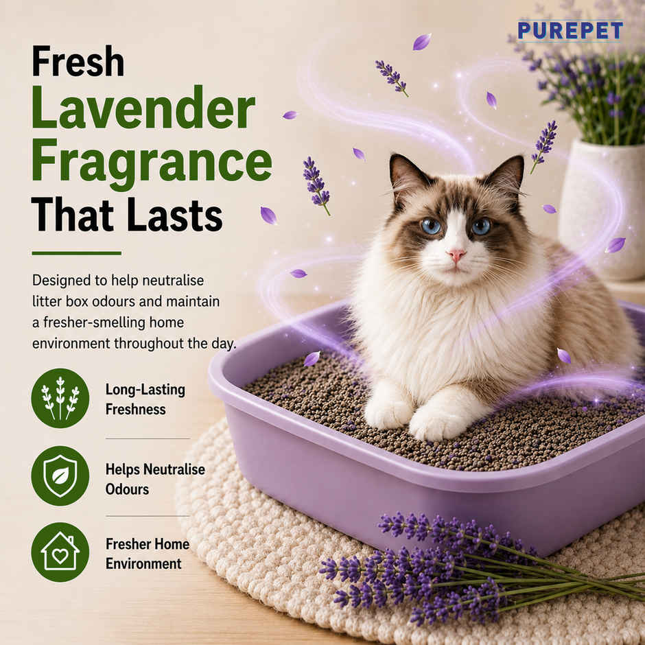 Purepet Lavender Fragrance Cat Litter for Multiple Cats Pet Litter Tray Refill
