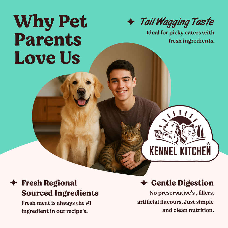 Kennel Kitchen Tuna in Jelly Pack