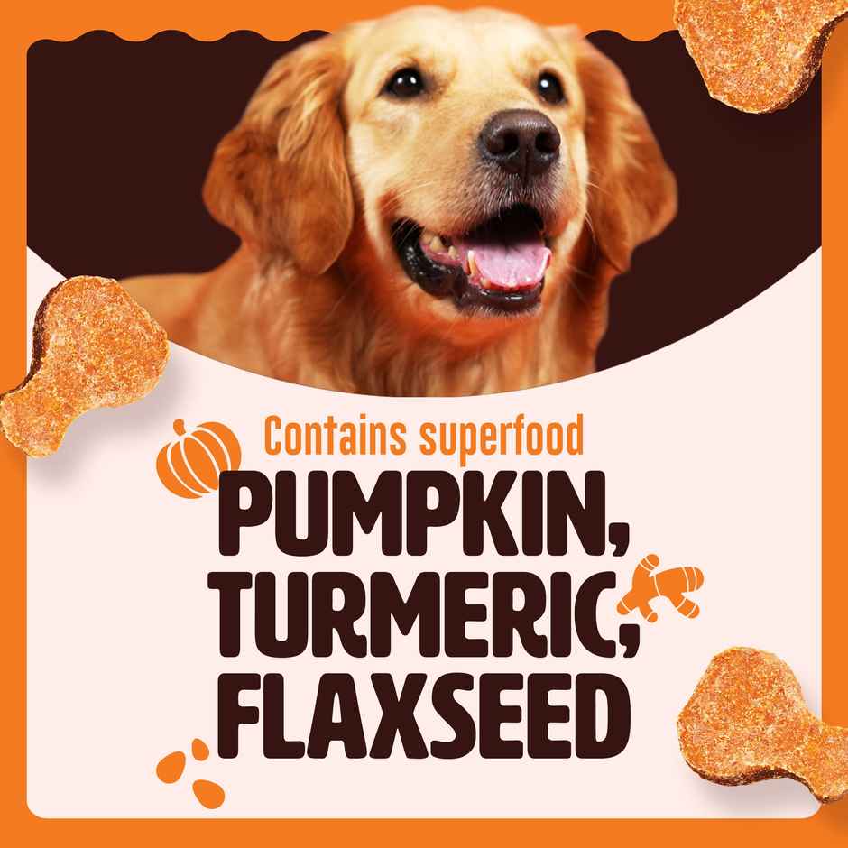 Kennel Kitchen Soft Baked Fish Sticks with Turmeric Treats for Dogs