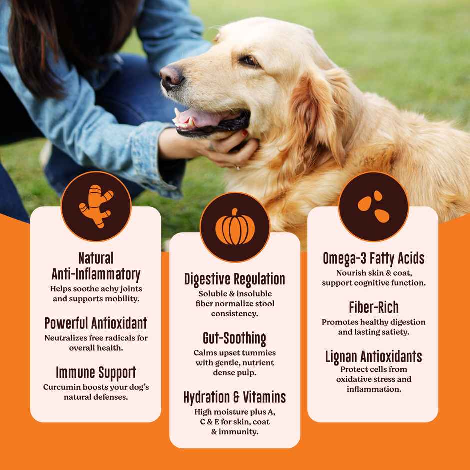 Kennel Kitchen Soft Baked Fish Sticks with Turmeric Treats for Dogs