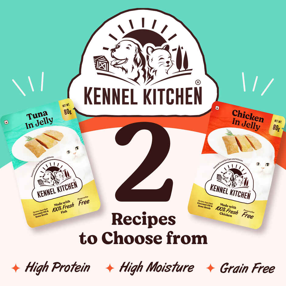 Kennel Kitchen Tuna in Jelly Pack