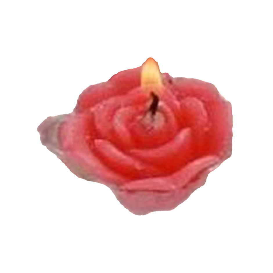 Flower Floating Candles | Pack of 6 | Pink | Samsidhi