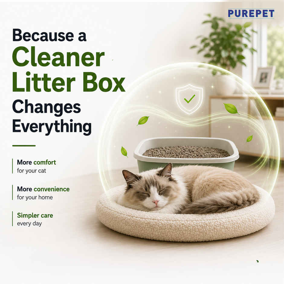 Purepet Lavender Fragrance Cat Litter for Multiple Cats Pet Litter Tray Refill