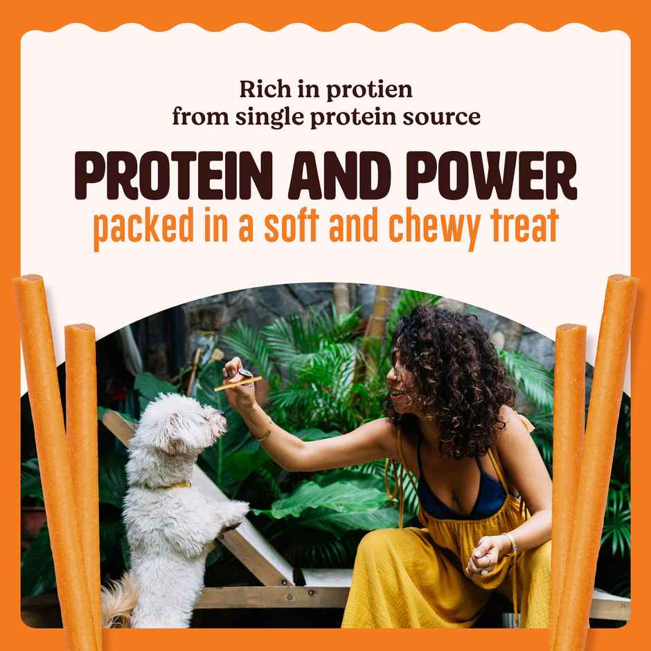 Kennel Kitchen Soft Baked Fish Sticks with Turmeric Treats for Dogs