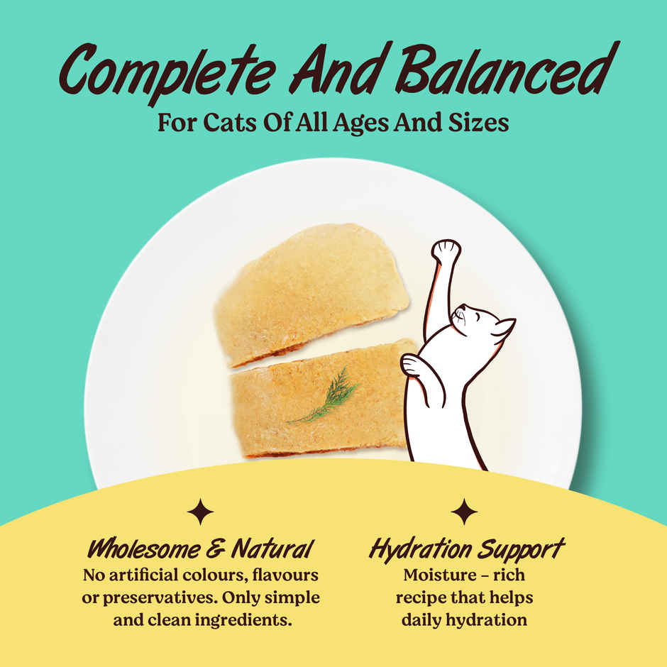 Kennel Kitchen Tuna In Jelly | Wet Cat Food