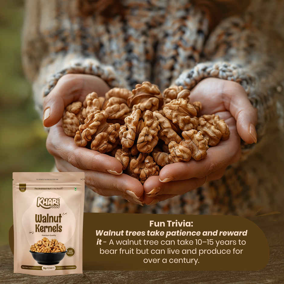 Khari Foods Premium Chile Walnut Kernels / Akhrot Giri Dry Fruits
