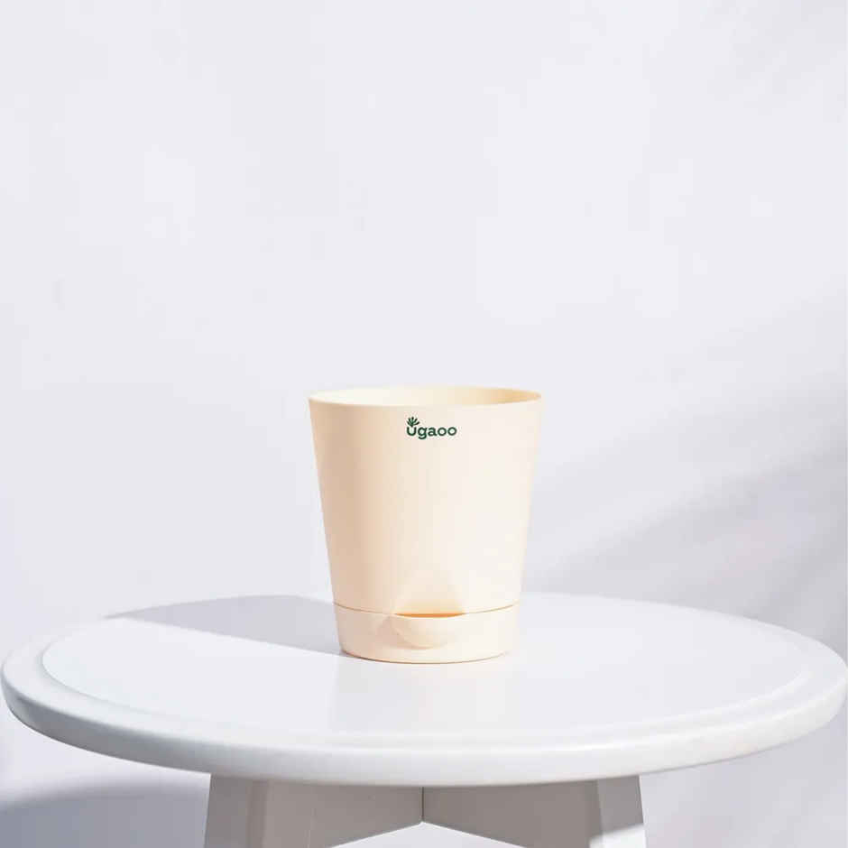 Ugaoo Krish Self Watering Round Pots | 4 Inch | Ivory