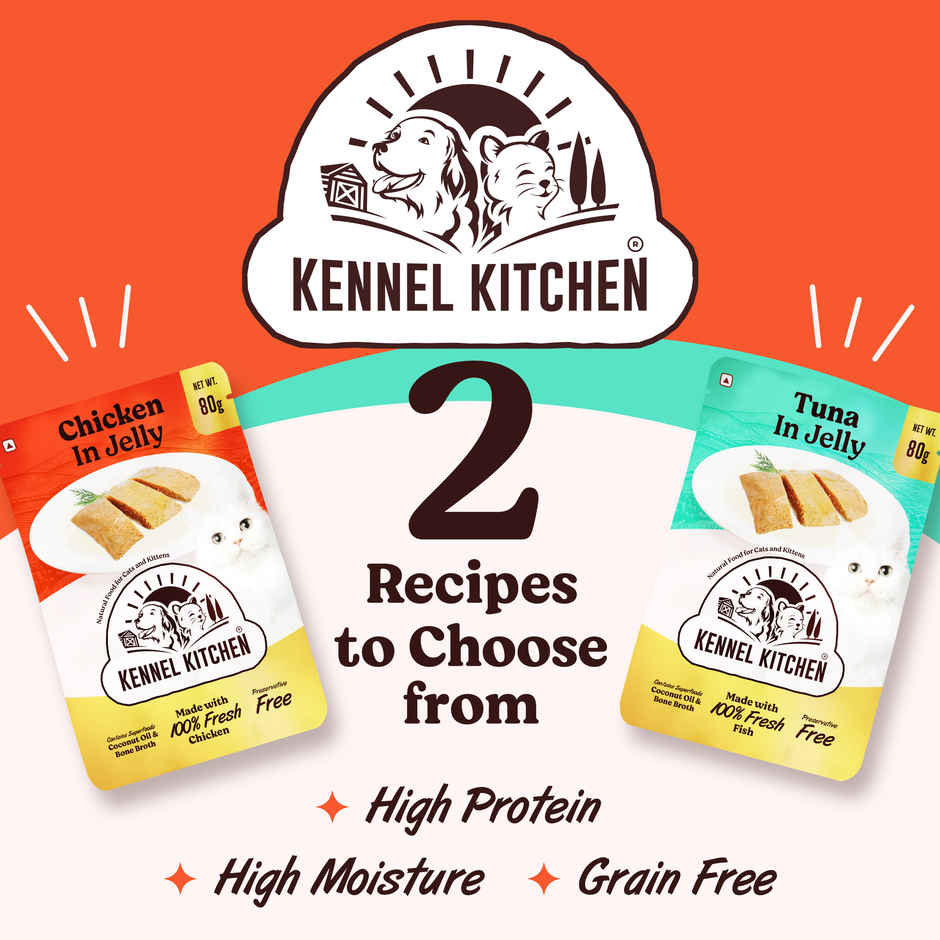 Kennel Kitchen Chicken In Jelly | Wet Cat Food