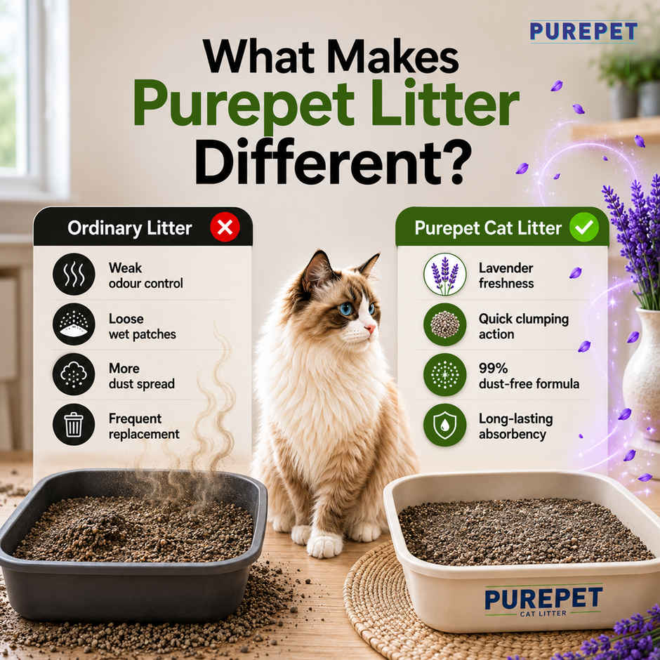 Purepet Lavender Fragrance Cat Litter for Multiple Cats Pet Litter Tray Refill