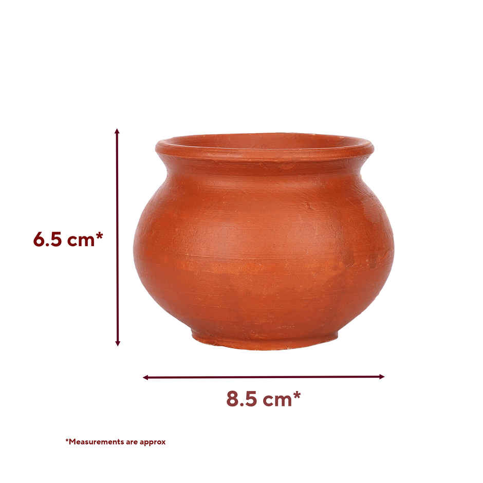 Mitti Matka | Eco-Friendly Clay Pot | Handcrafted Natural Terracotta | Cycle
