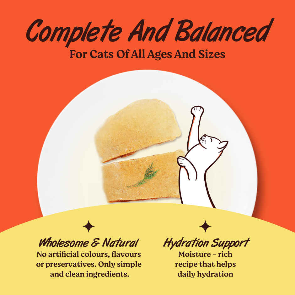 Kennel Kitchen Chicken In Jelly | Wet Cat Food