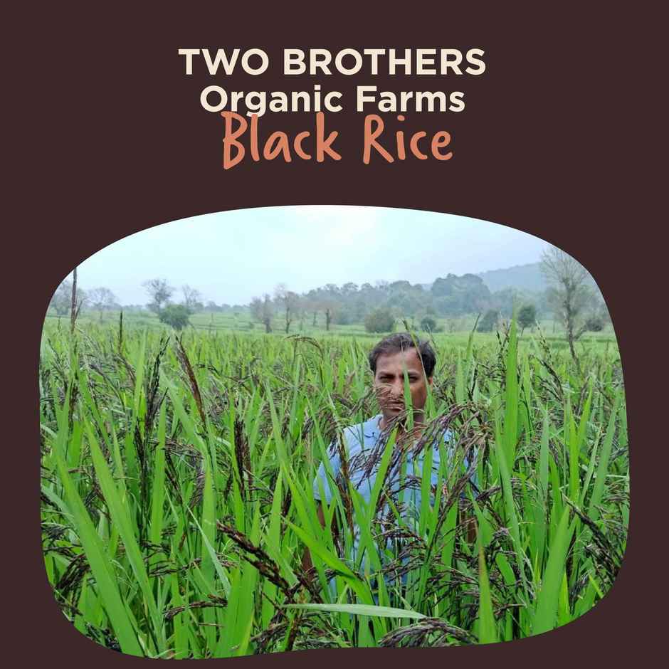 Two Brothers Black Rice