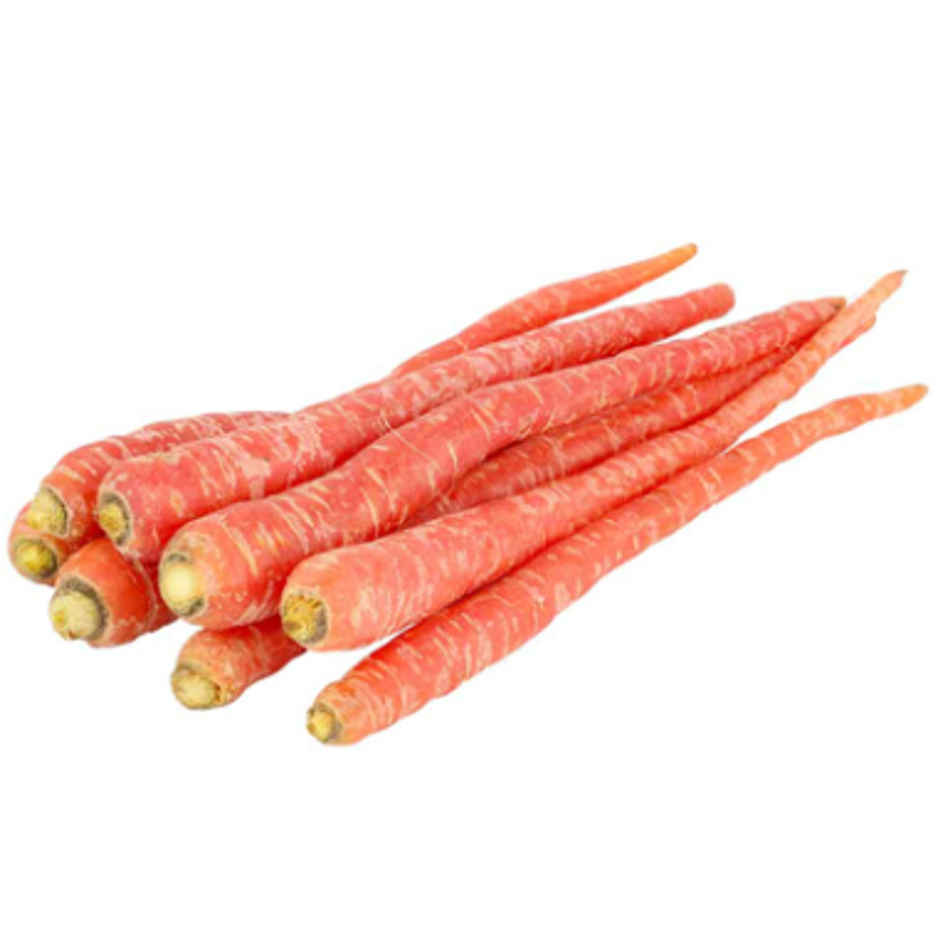 Carrot Delhi