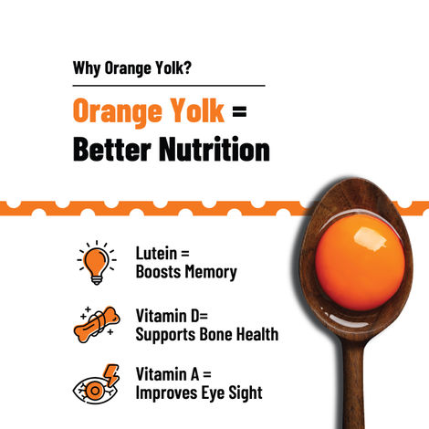 Eggoz Protein Rich Farm Fresh White Eggs