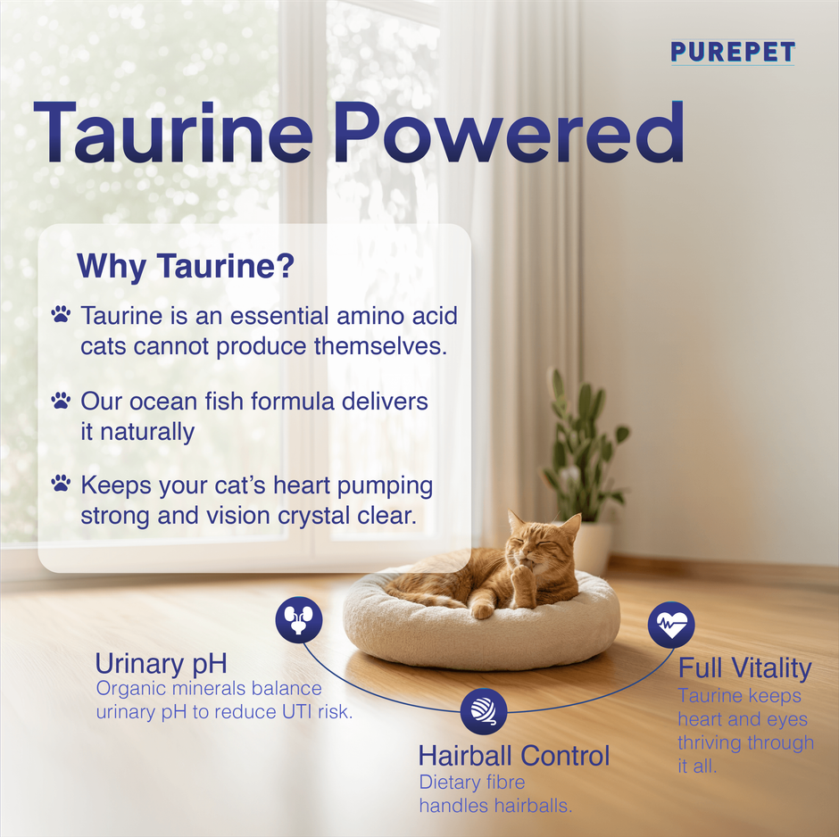 Purepet Ocean Fish Adult Dry Cat Food