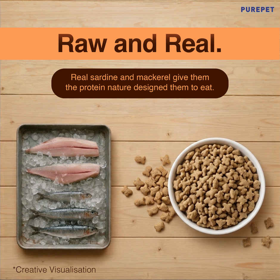 Purepet Mackerel Adult Dry Cat Food