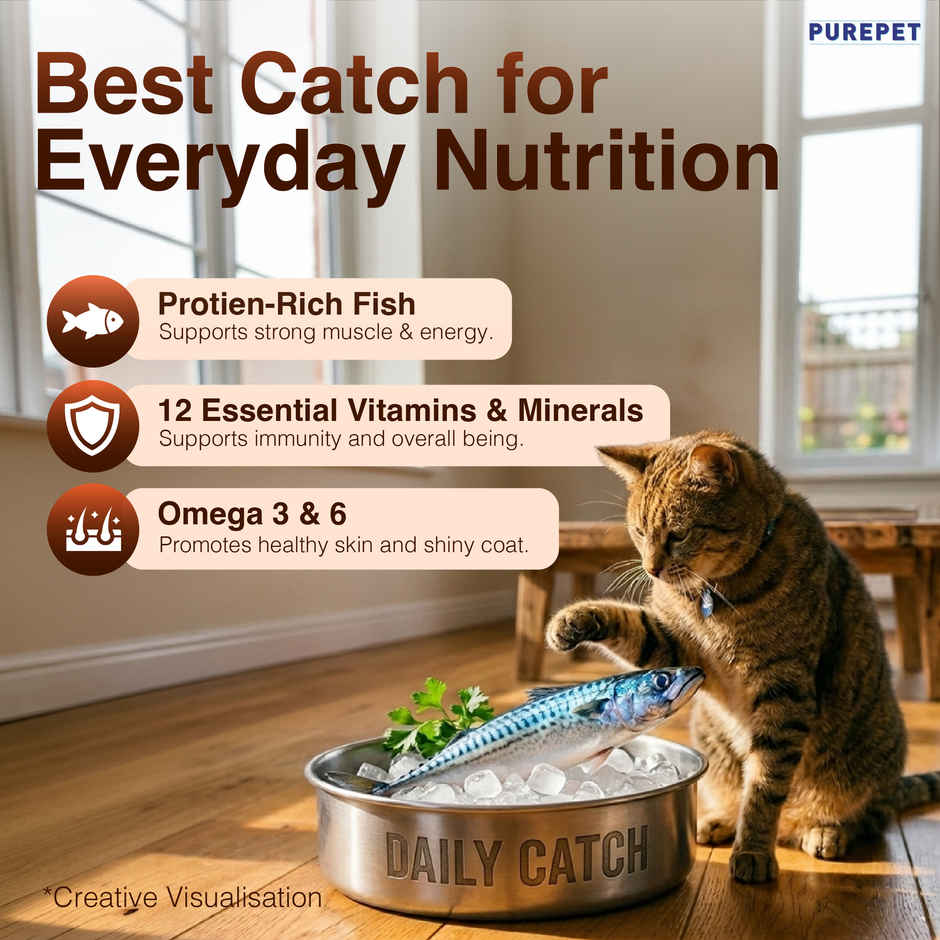 Purepet Mackerel Adult Dry Cat Food