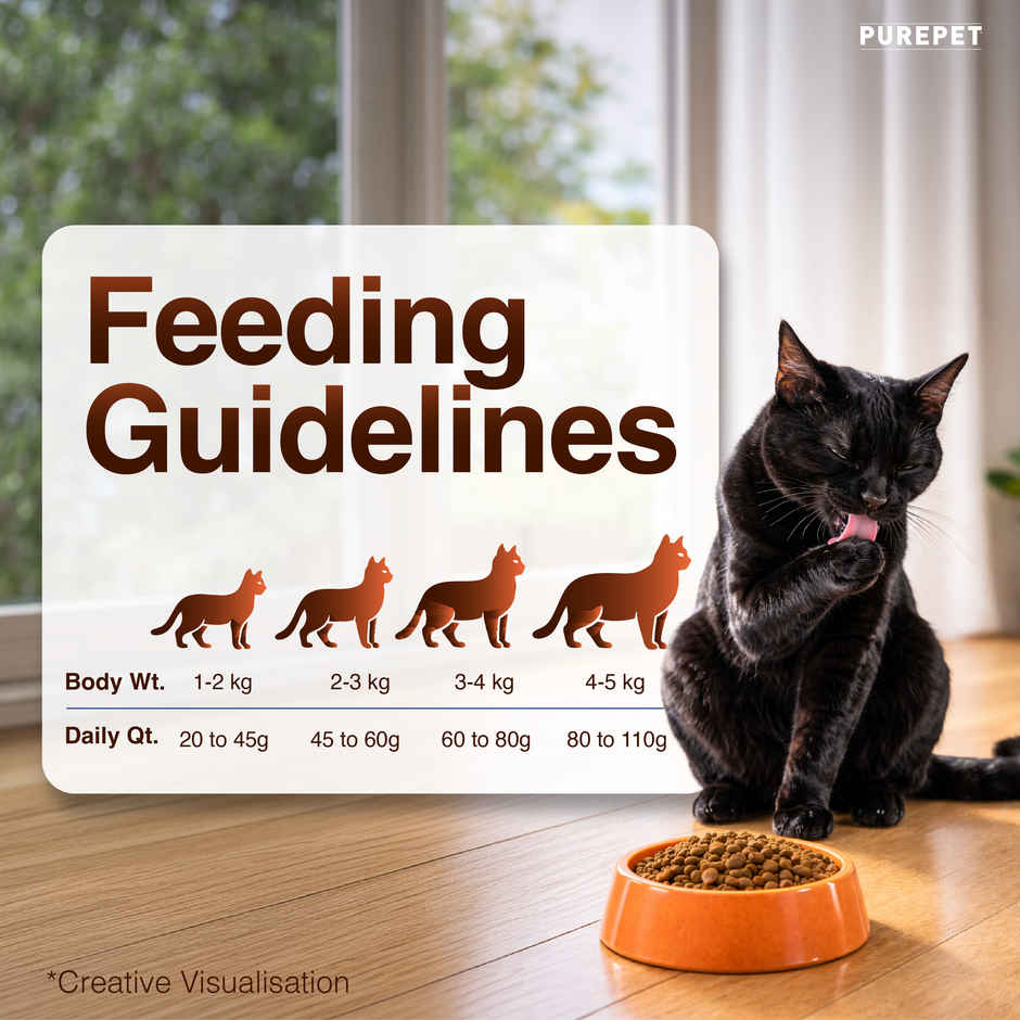 Purepet Mackerel Adult Cat FOOD