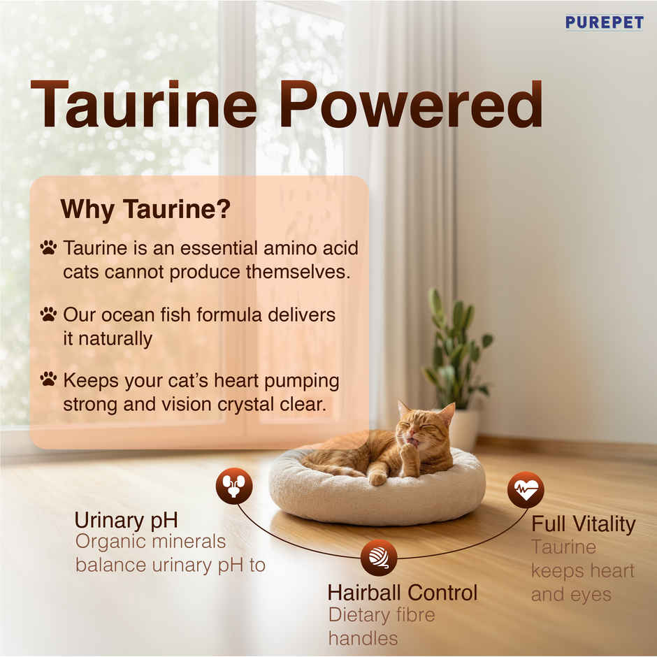Purepet Mackerel Adult Dry Cat Food