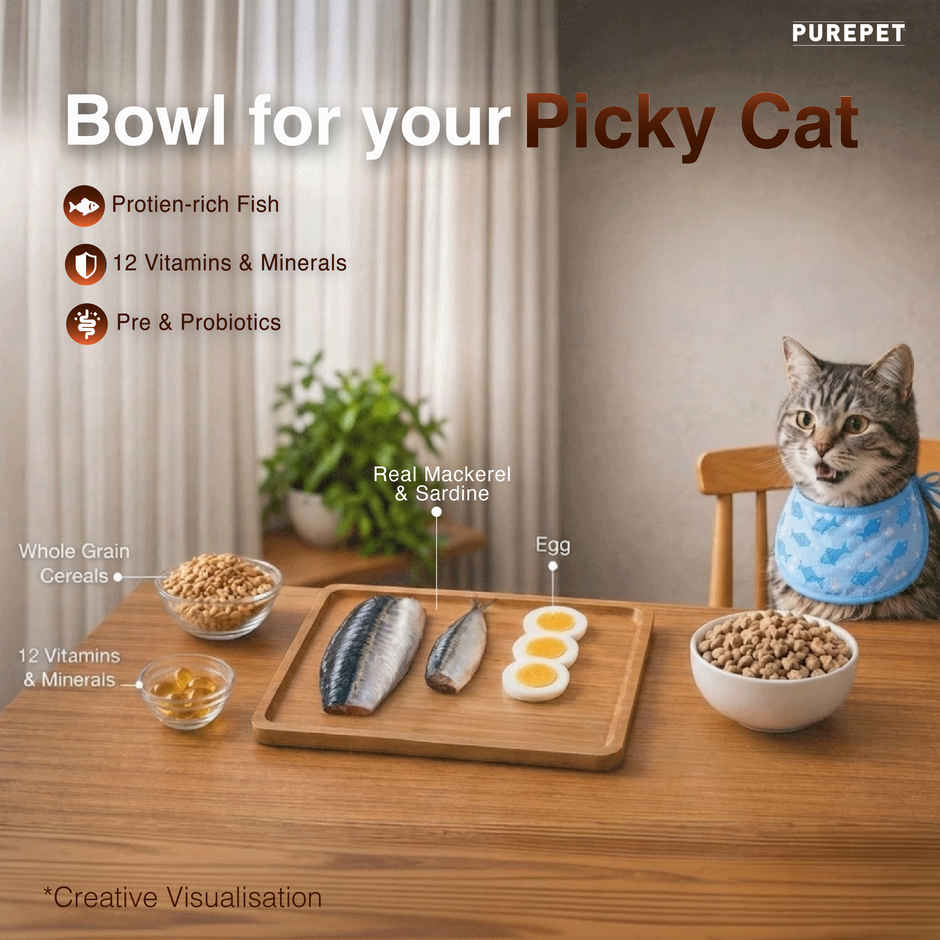 Purepet Mackerel Adult Dry Cat Food