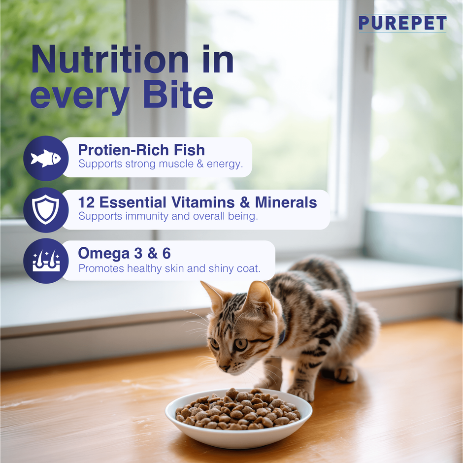 Purepet Ocean Fish Adult Dry Cat Food