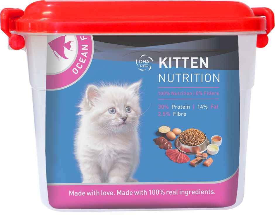 Drools Kitten (1-12 Months) Dry Cat Food With Free Container - Ocean Fish