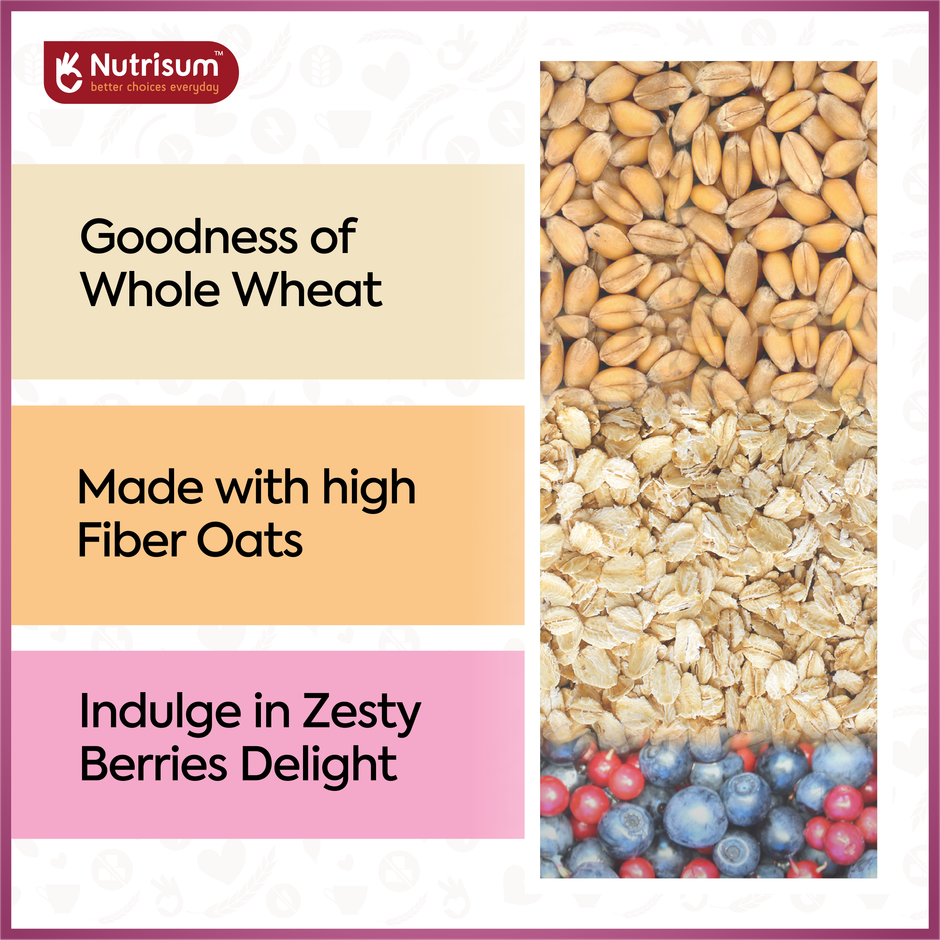 Nutrisum Oats Cookies - No Added Sugar - Mixed Berries