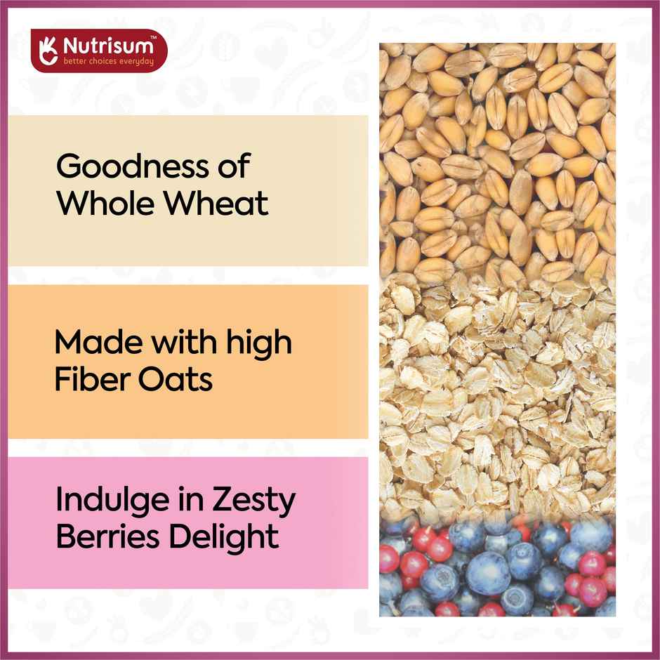 Nutrisum Oats Cookies - No Added Sugar - Mixed Berries