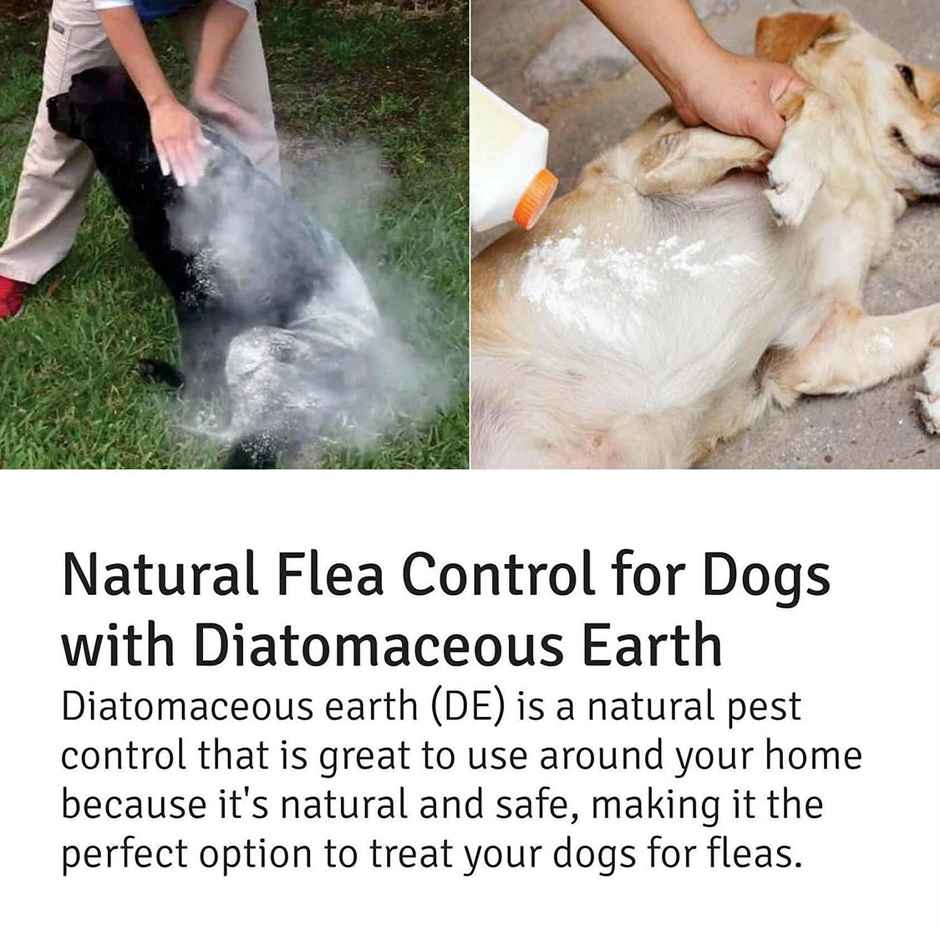 Unitedlys Diatomaceous Earth Powder 800G With Measuring Spoon