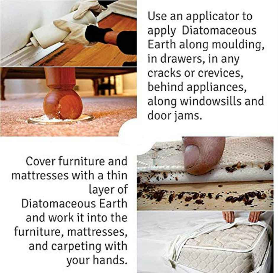 Unitedlys Diatomaceous Earth Powder 800G With Measuring Spoon