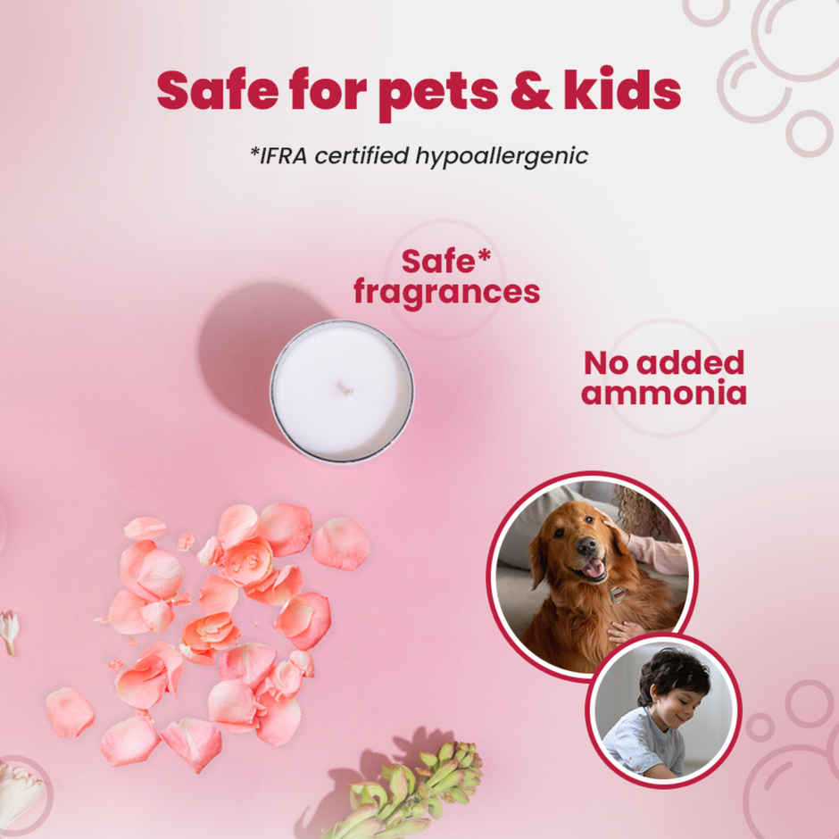 Koparo Clean Natural Floor Cleaner | Pet Safe