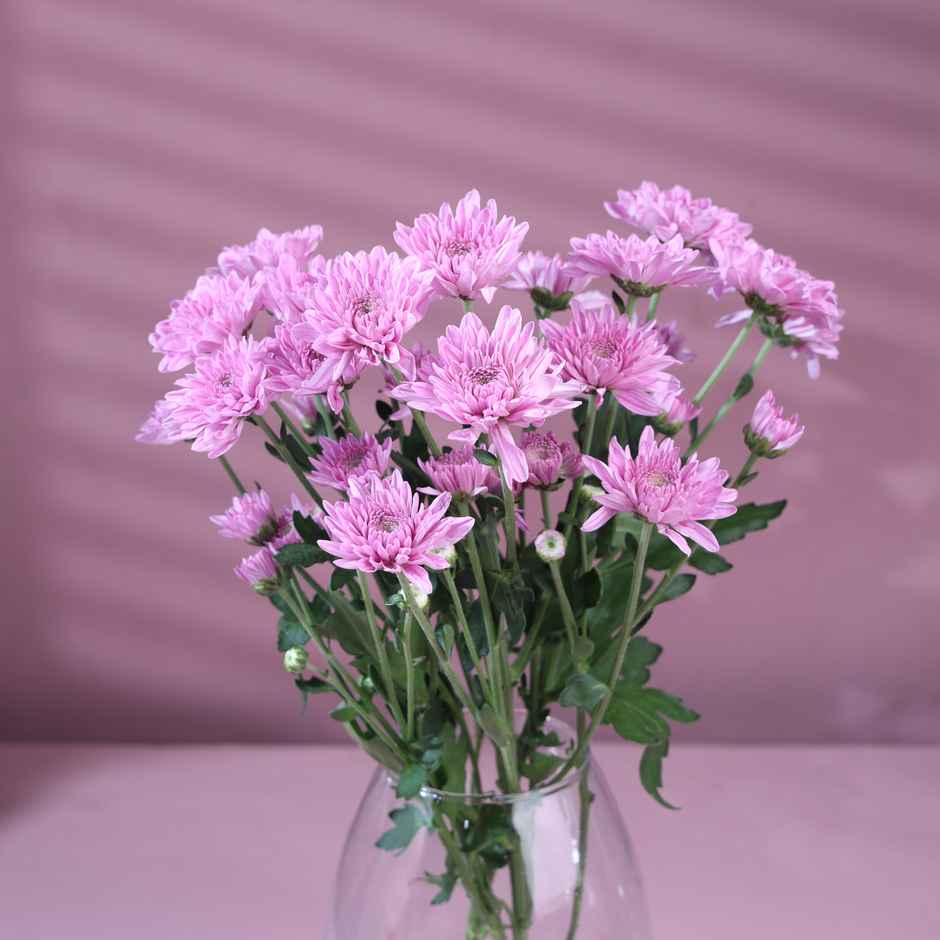 FlowerAura Purple Daisy Twin Stems