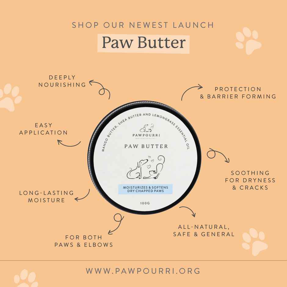 Pawpourri Paw Butter for Pet